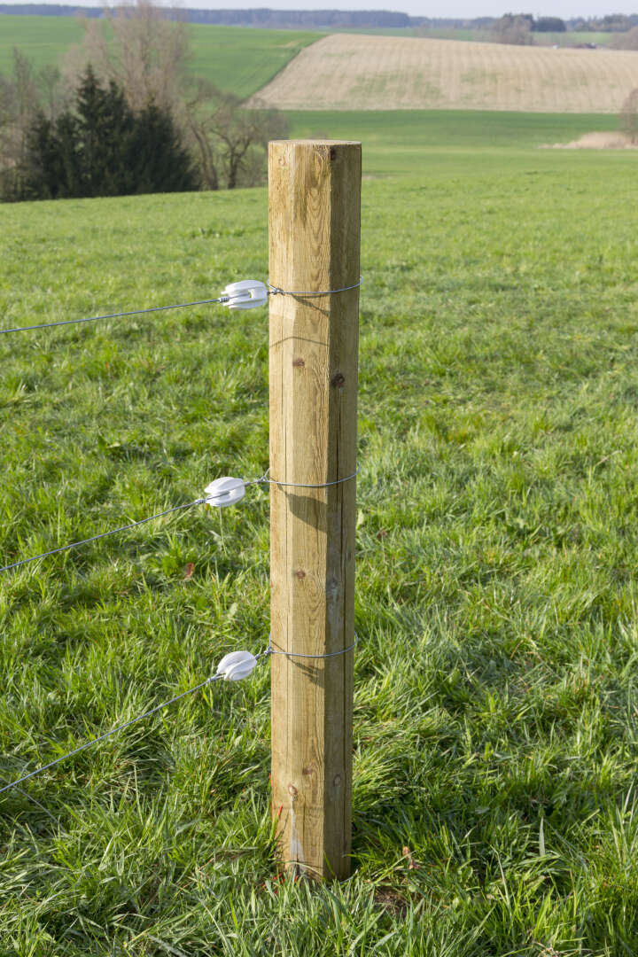 KERBL Porzellan-Eckisolator